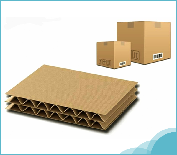 Giấy tấm carton